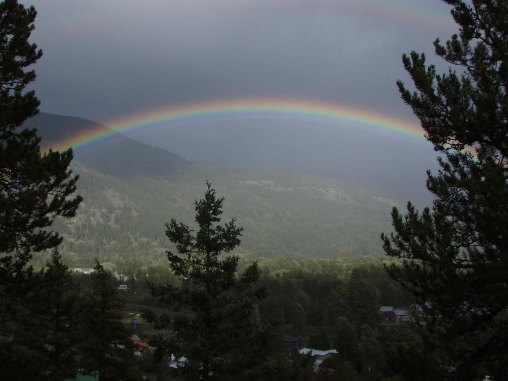 Greenwood Country Inn Pemberton Zimmer foto